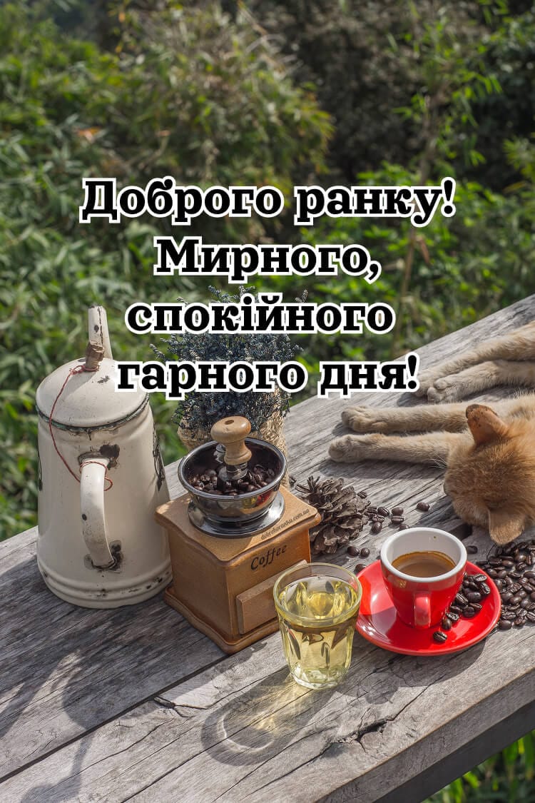 Доброго ранку, Мирного, спокійного гарного дня. Картинка чаю, кави та сонного кота на природі