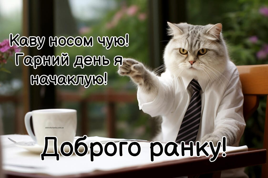 Доброго ранку прикольні картинки, смішний кіт за столом