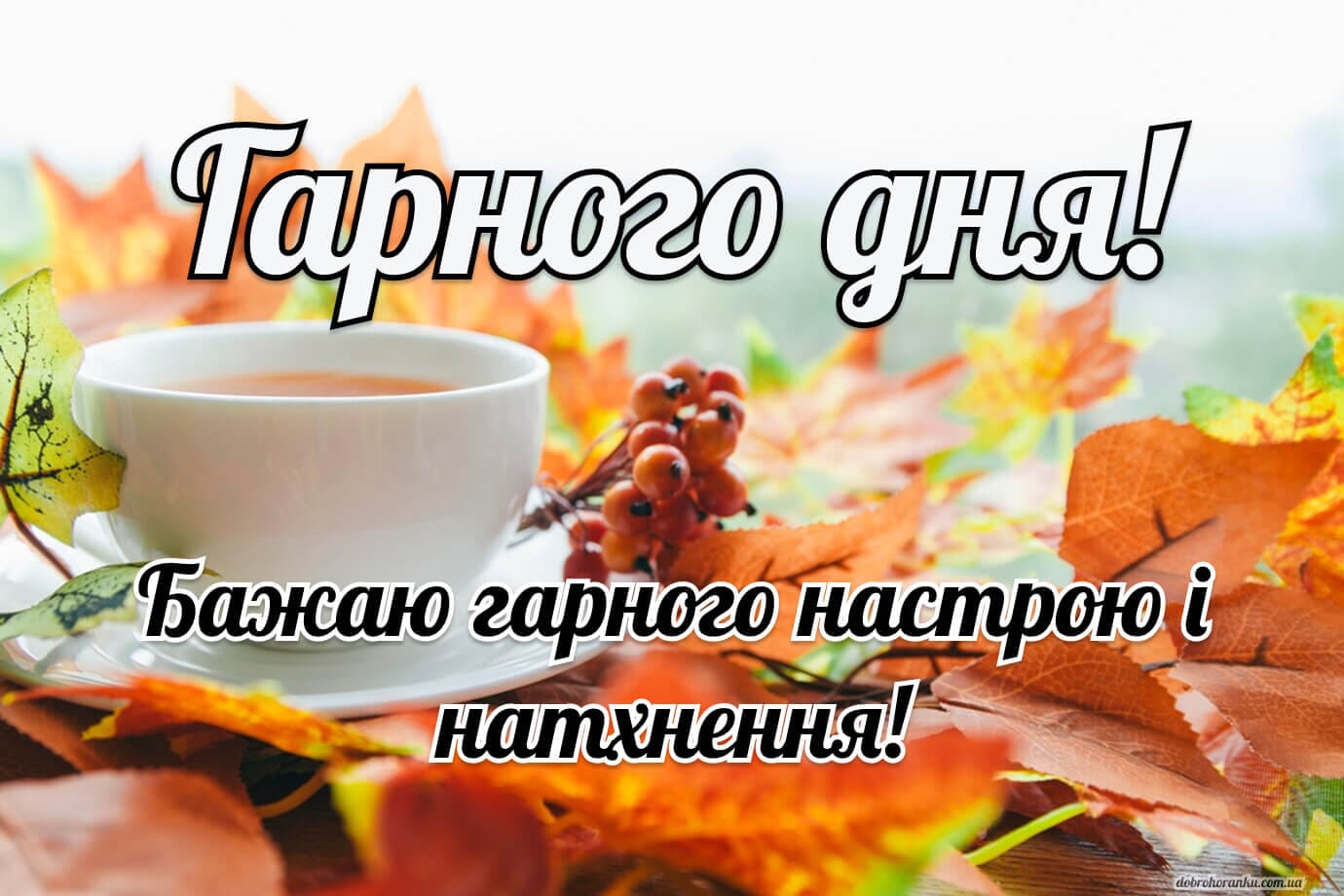 Гарного дня. Бажаю гарного настрою і натхнення!