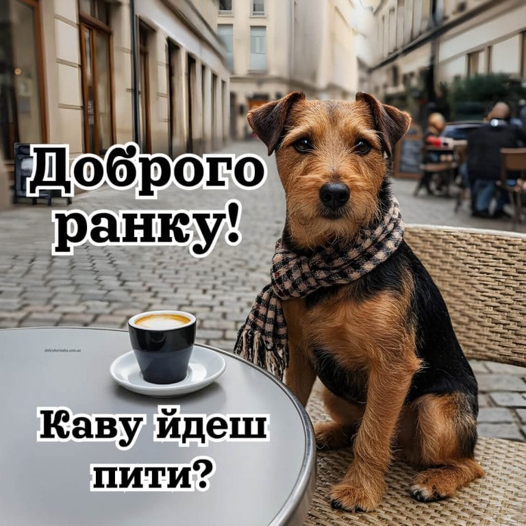 Картинки доброго ранку прикольні, каву йдеш пити, смішний собачка із ковою