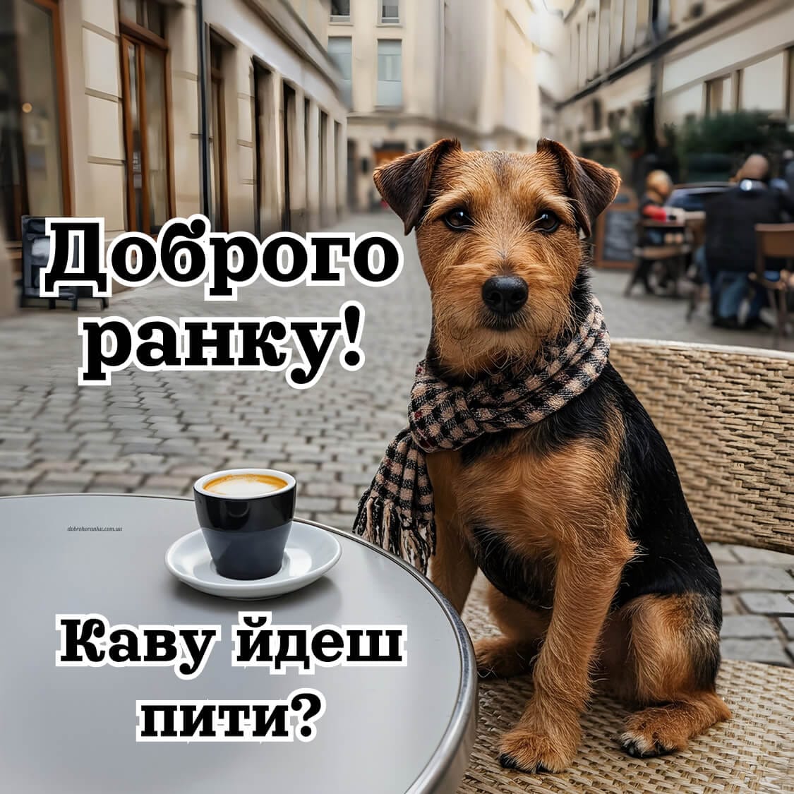 Картинки доброго ранку прикольні, каву йдеш пити, смішний собачка із ковою