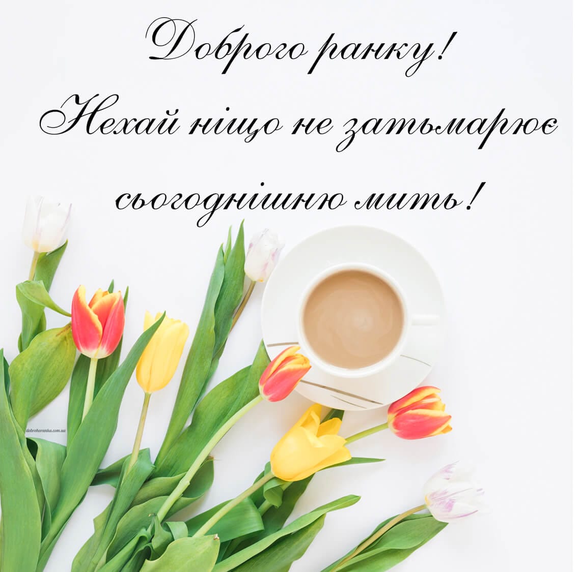 Картинки доброго ранку з кавою, та текстом Нехай ніщо не затьмарює сьогоднішню мить