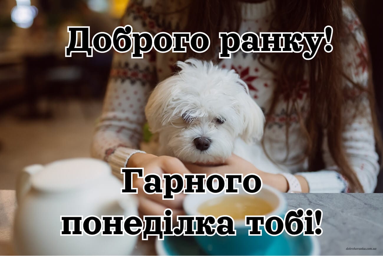 Доброго ранку, понеділка, мила картинка з побаажннями. Гарного понеділка тобі