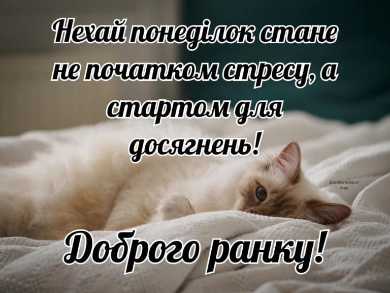 Доброго ранку, понеділок, мотиваційна картинка. Нехай понеділок стане не початком стресу, а стартом для досягнень.