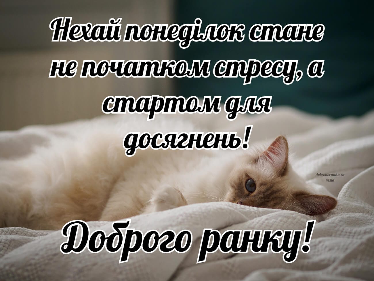 Доброго ранку, понеділок, мотиваційна картинка. Нехай понеділок стане не початком стресу, а стартом для досягнень.