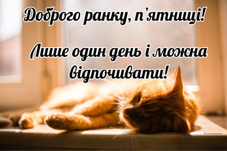 Доброго ранку, пʼятниця, прикольна картинка. Лише один день і можна відпочивати