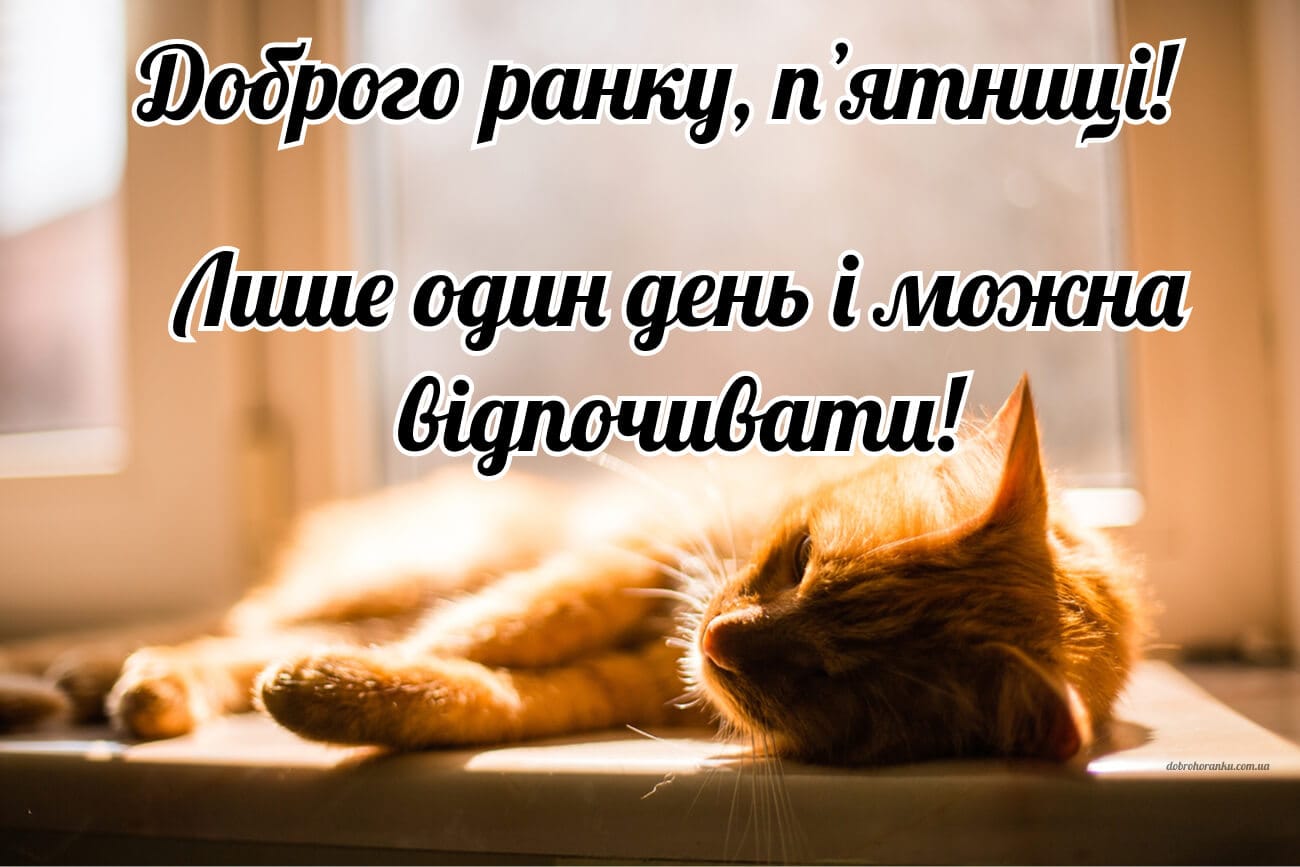 Прикольна картинка з добрим ранком на пʼятницю