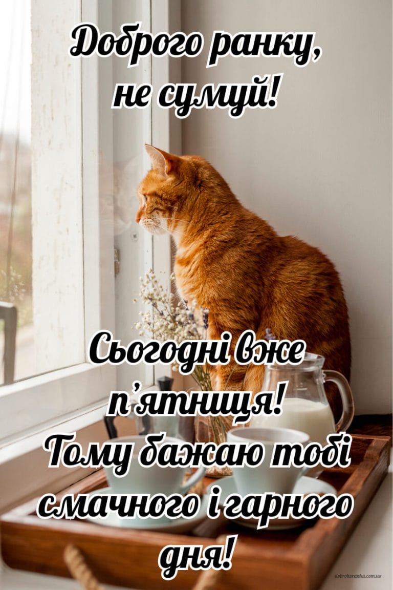 Картинка для побажання доброго ранку у пʼятницю. Сьогодні вже пʼятниця! Тому бажаю тобі смачного і гарного дня