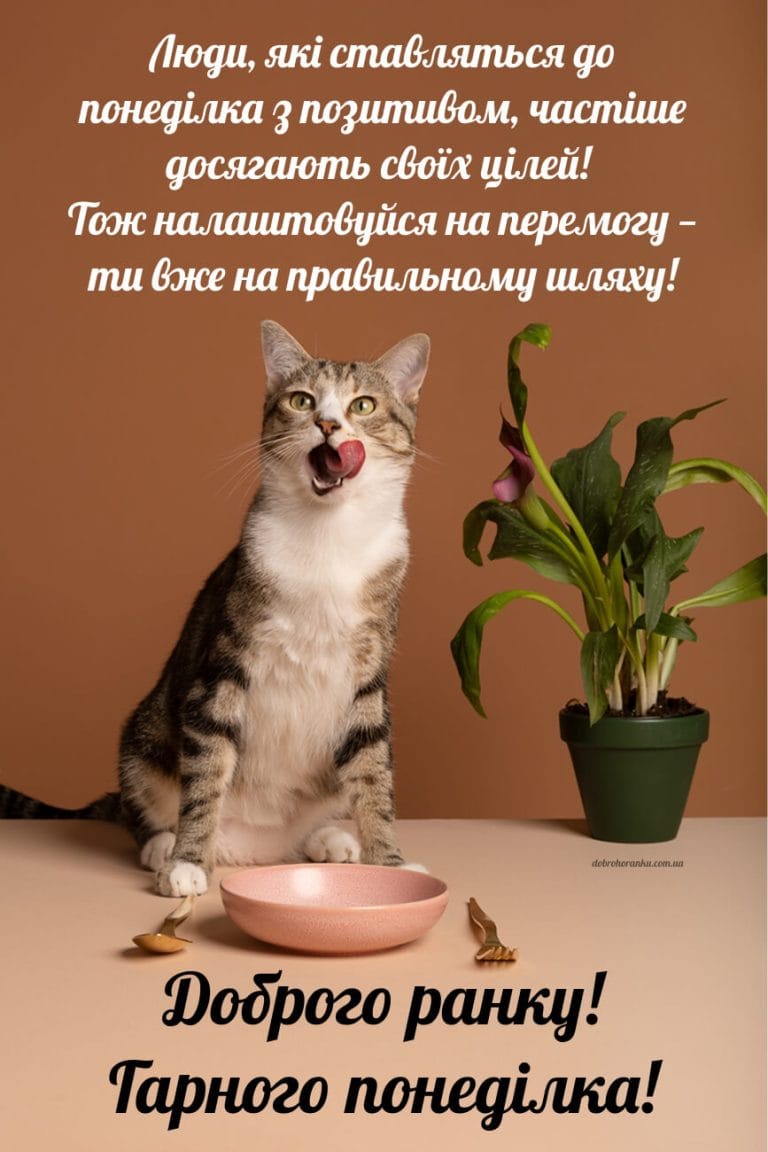 Прикольна картинка доброго ранку, понеділок, Люди, які ставляться до понеділка з позитивом, частіше досягають своїх цілей! Тож налашто