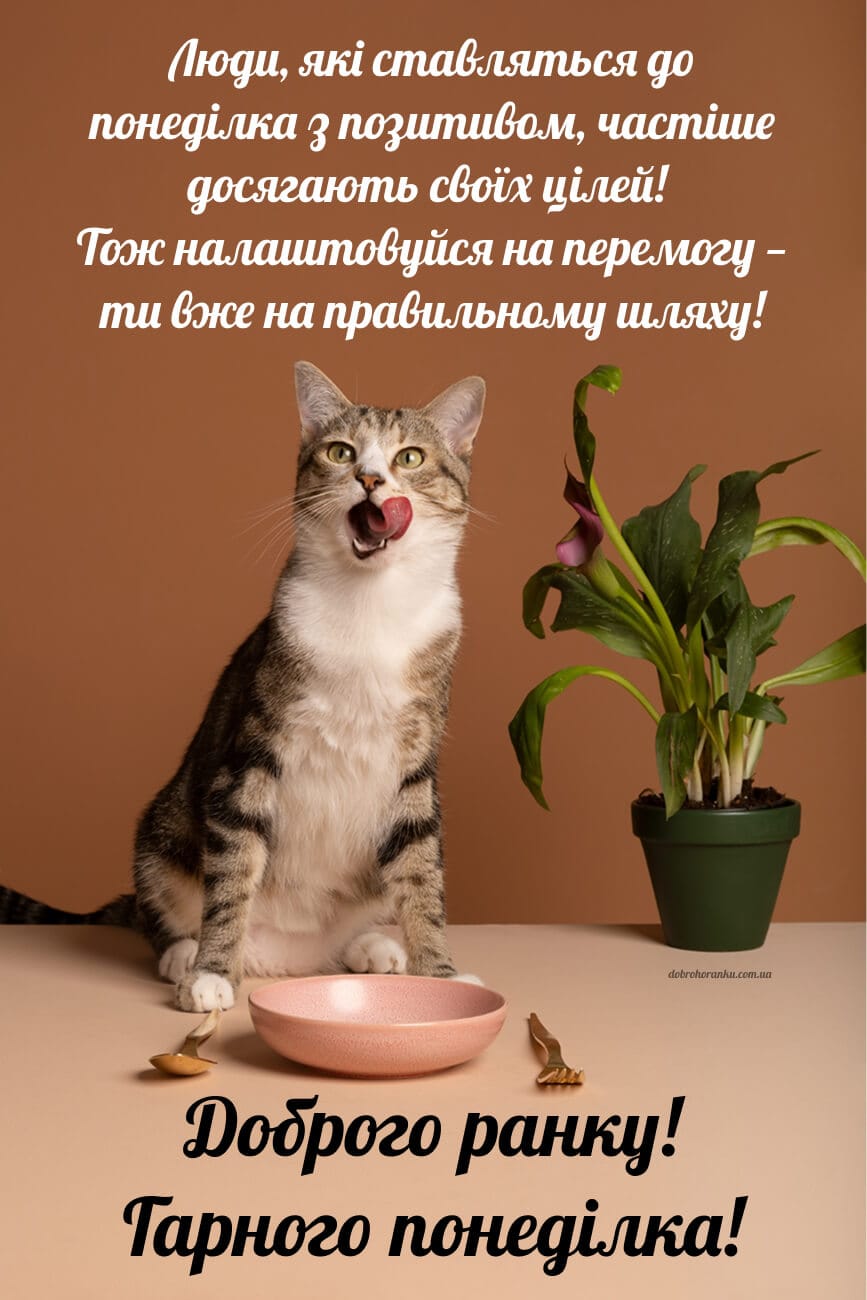 Прикольна картинка доброго ранку, понеділок, Люди, які ставляться до понеділка з позитивом, частіше досягають своїх цілей! Тож налашто