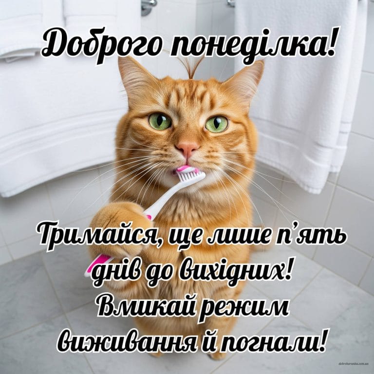Прикольна картинка доброго ранку у понеділок
