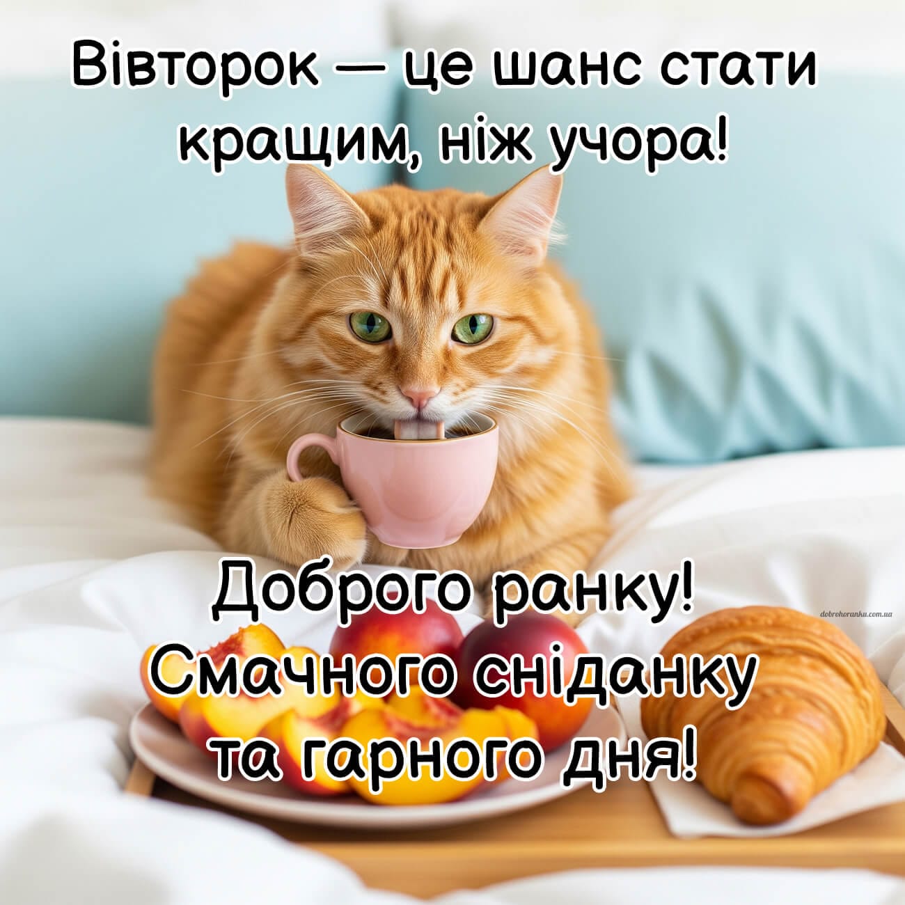 Смішна картинка доброго ранку вівторок. Вівторок — це шанс стати кращим, ніж учора!