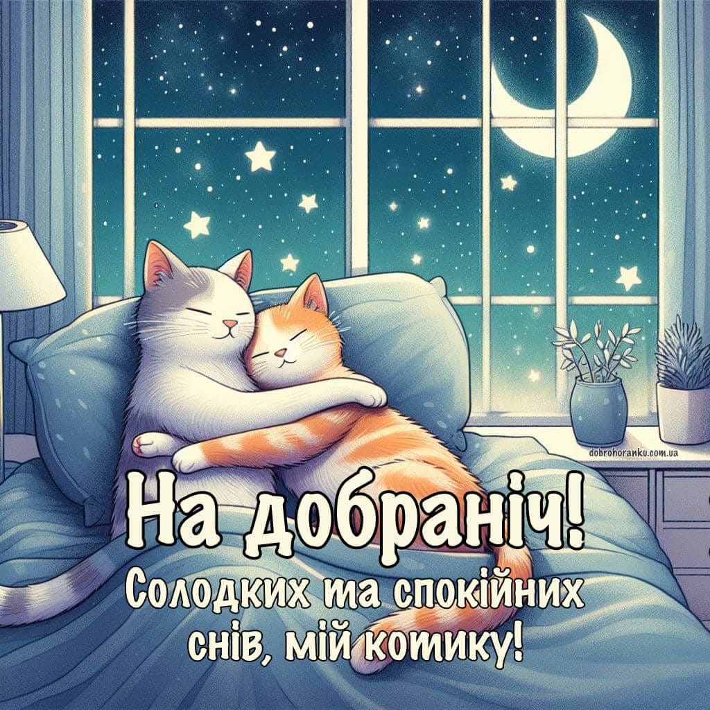 Картинка на добраніч, два котики сплять