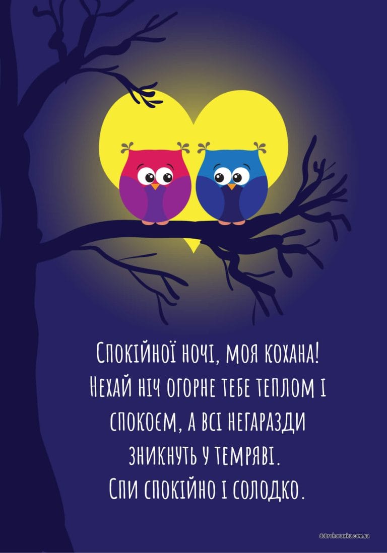 Картинка на добраніч кохана, солодких снів, дві сови