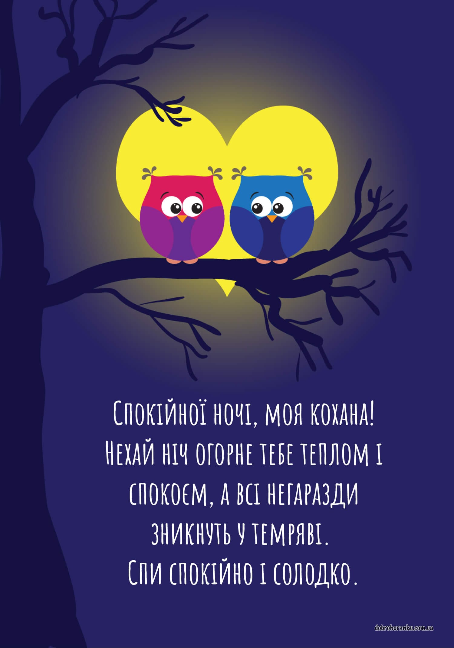 Добраніч, кохана: картинка з двома совами