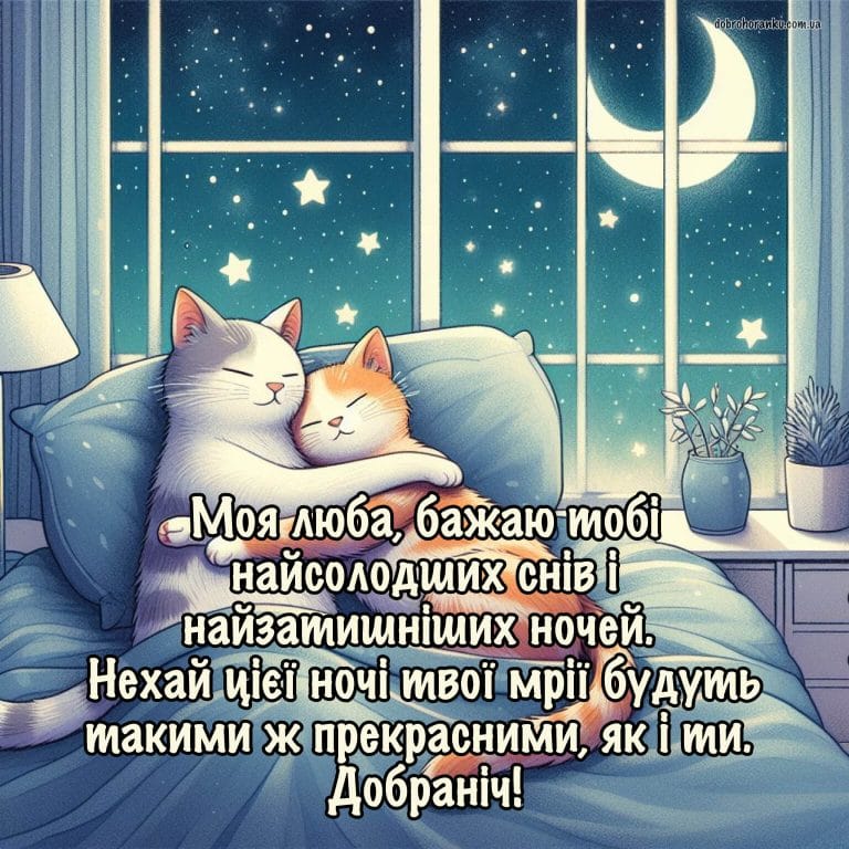 Картинка на добраніч кохана, солодких снів, котики