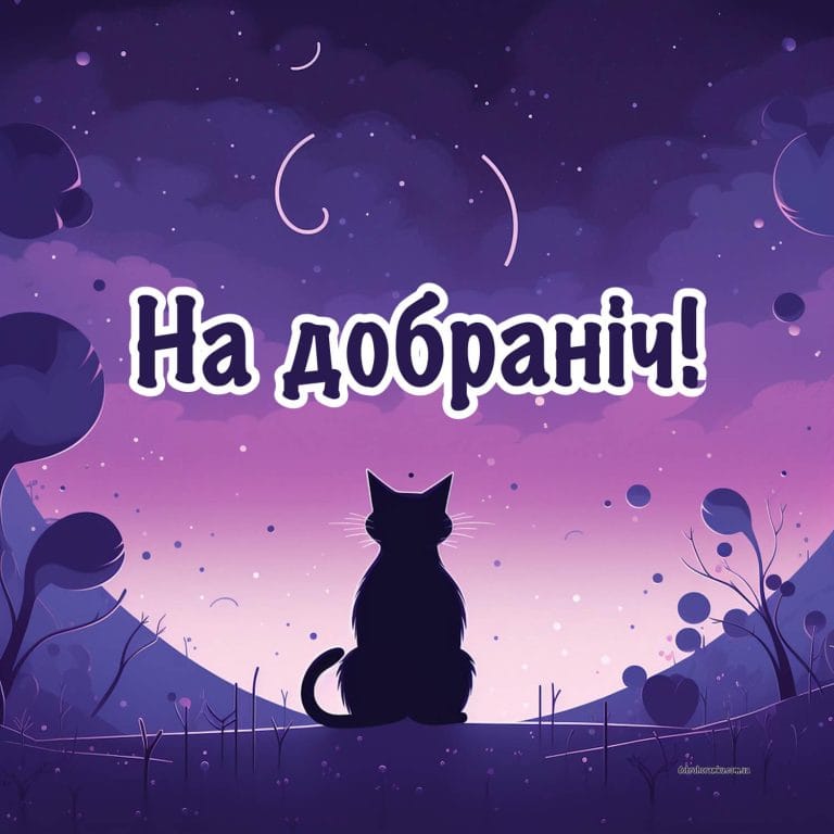 Картинка на добраніч, котик