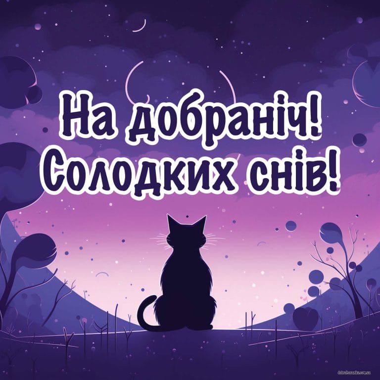 Картинка на добраніч, солодких снів, котик