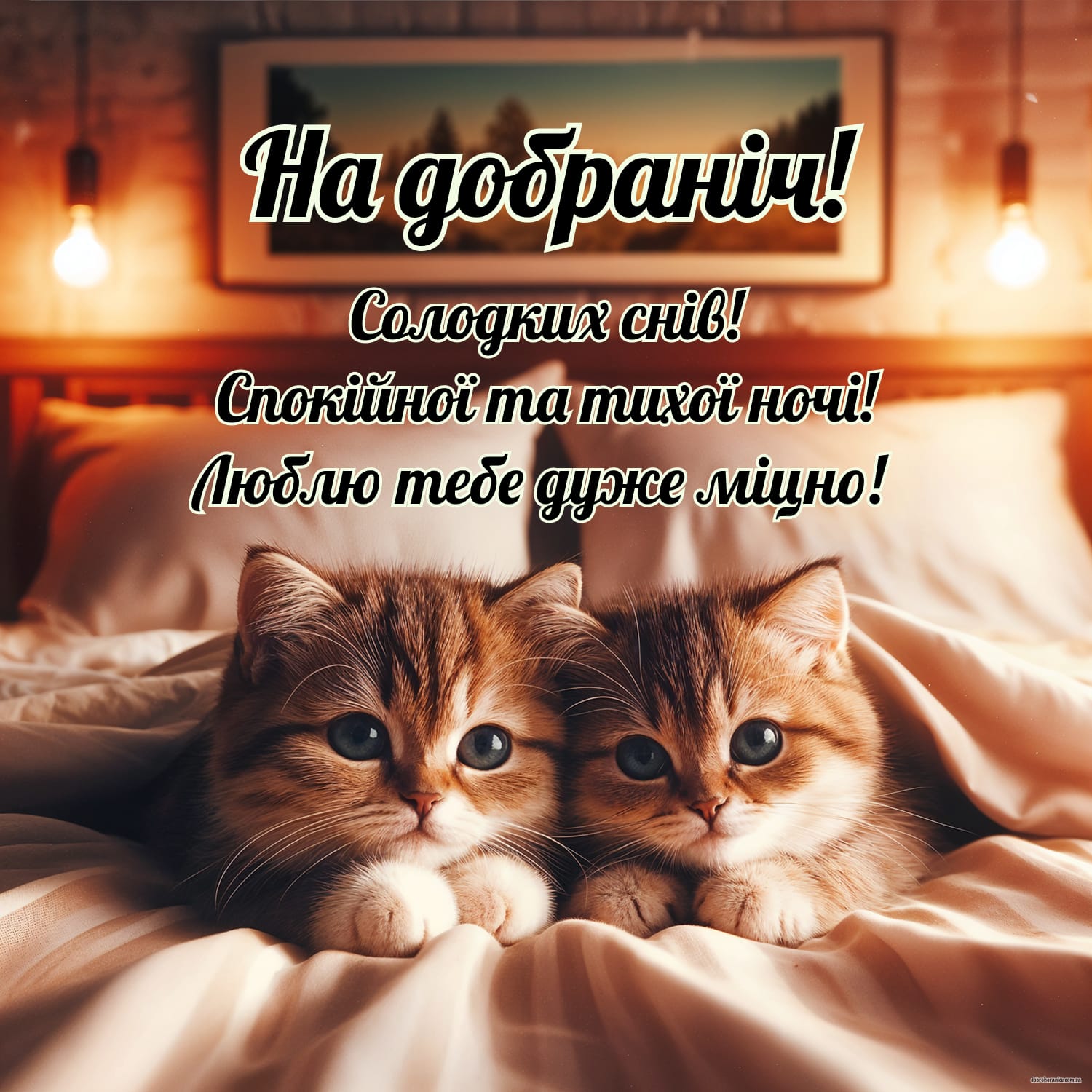 На добраніч: картинка з котиками та ніжним побажанням