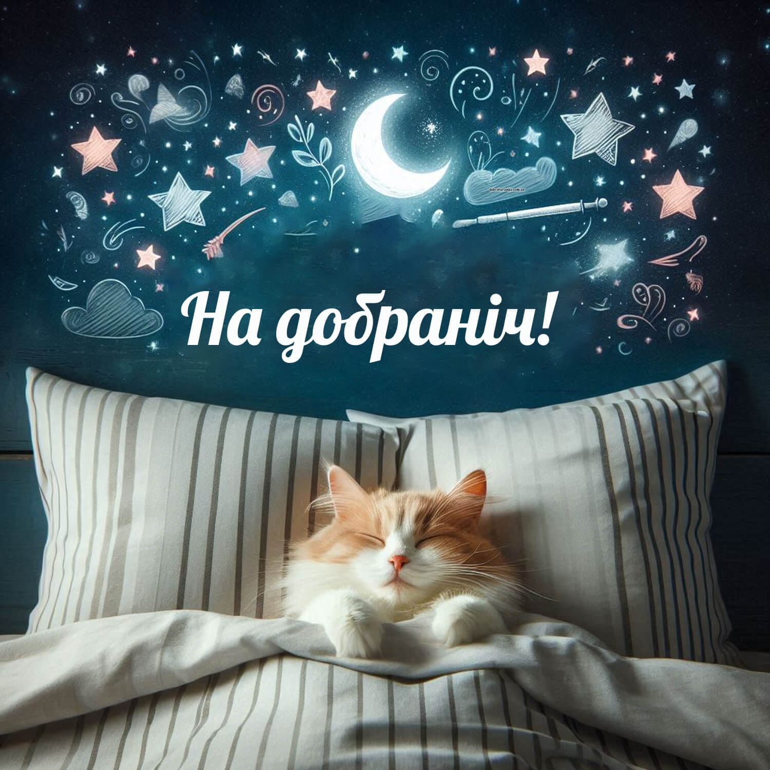 Картинка «На добраніч» з милим сплячим котиком