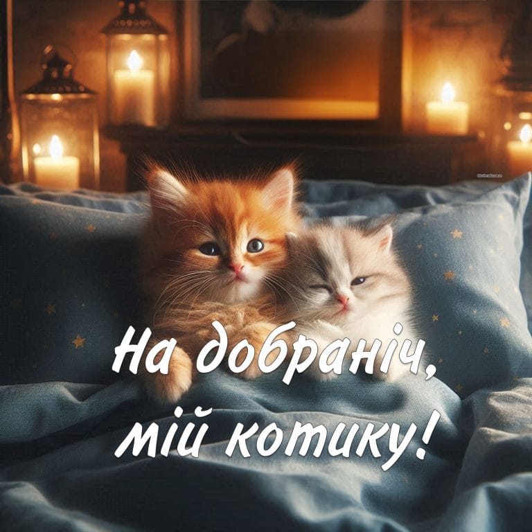 Надобраніч котик​