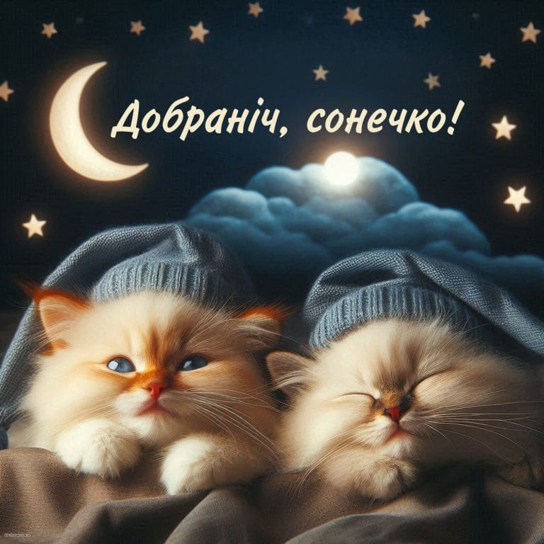 Надобраніч сонечко​